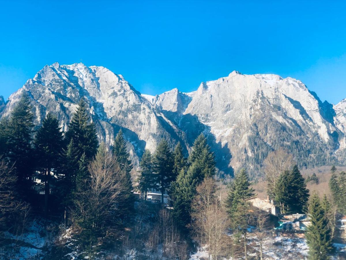 Pensiunea Sport Buşteni Exterior foto